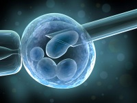 Cloned Embryos Fertility Blog.jpg