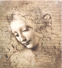 "Female-Head-La-Scapigliata-c-1508"