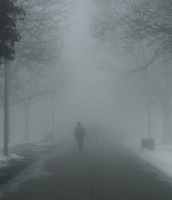 Fog 2.jpg