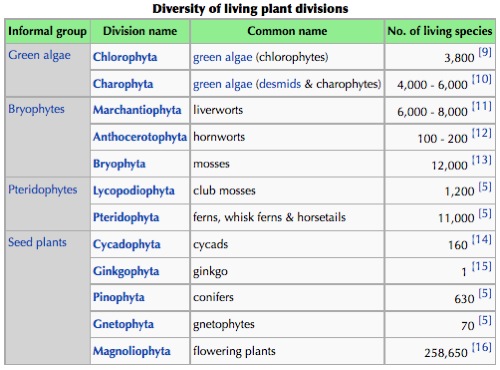 Plant divisions.jpg
