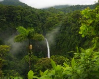 Waterfalls-in-Jungle-1.jpg